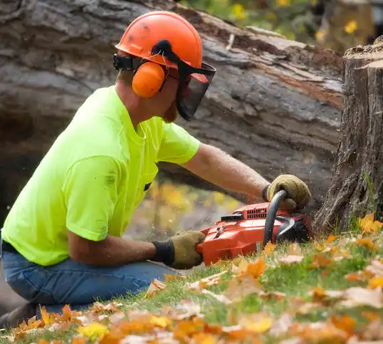 tree services St. James